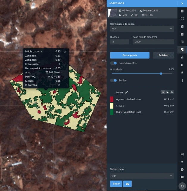 Imagem de satélite de uma floresta dividida em zonas com ajuda de software de monitoramento