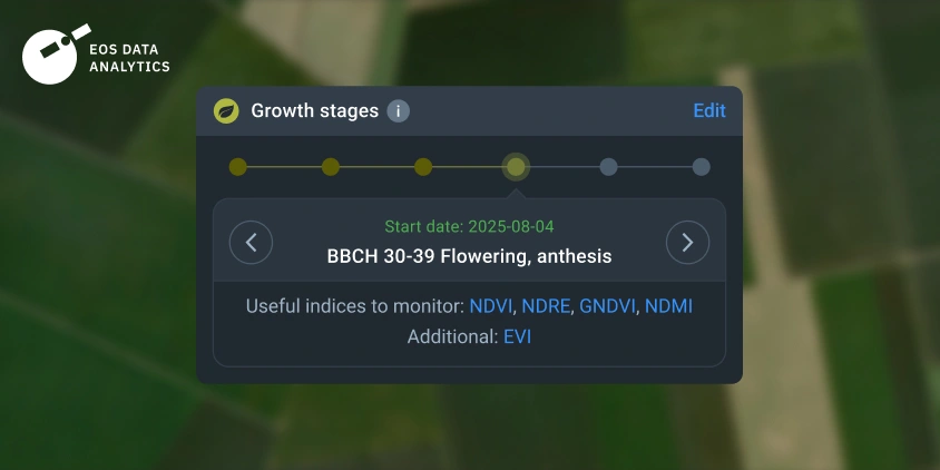 NDRE vs NDVI as recommended indices during flowering