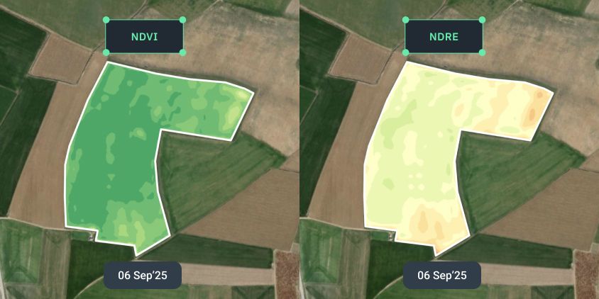 NDVI and NDRE difference