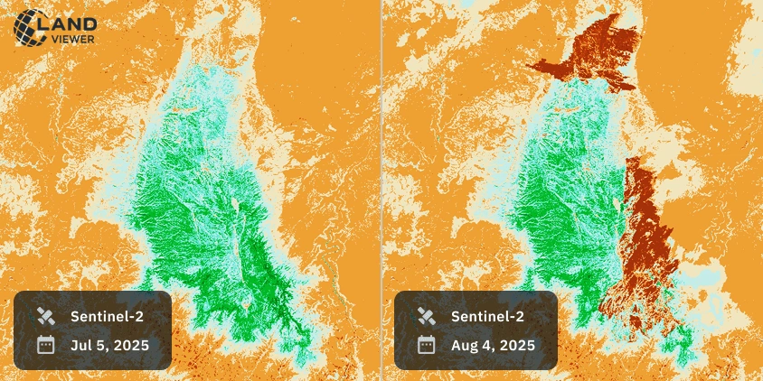 Satellite view of Arizona wildfires showing the Dragon Bravo Fire before and after burn damage.