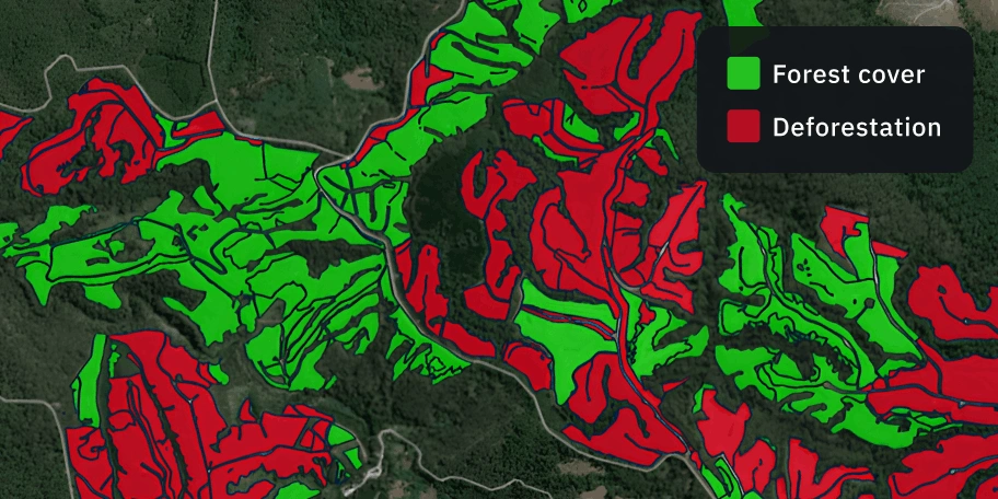 кастомні карти лісового покриву від EOSDA