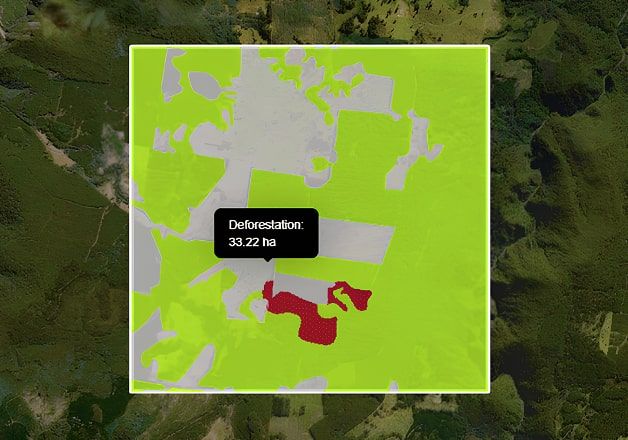 mapa de detecção de desmatamento