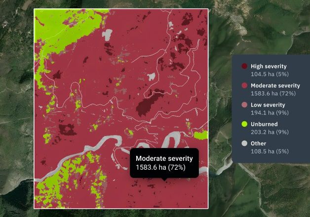 mapa de áreas florestais queimadas