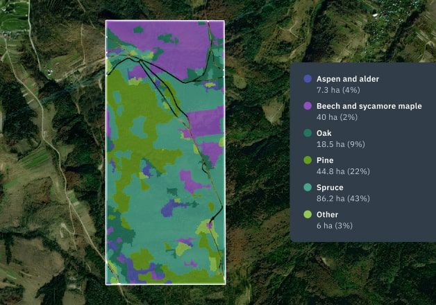 mapa de classificação de espécies de árvores