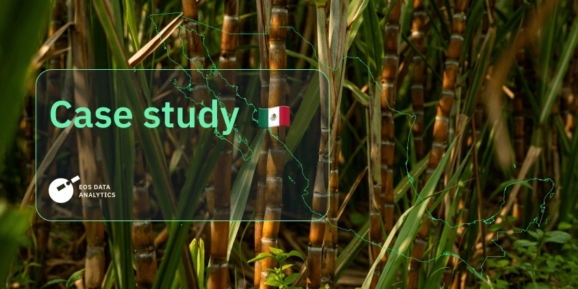 Case study by EOSDA: How climate change impacts sugarcane yields in Veracruz, Mexico