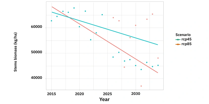 simulated sugarcane stem biomass