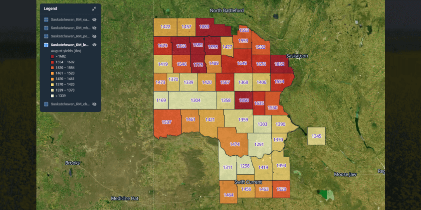 wheat yield prediction, August 2025