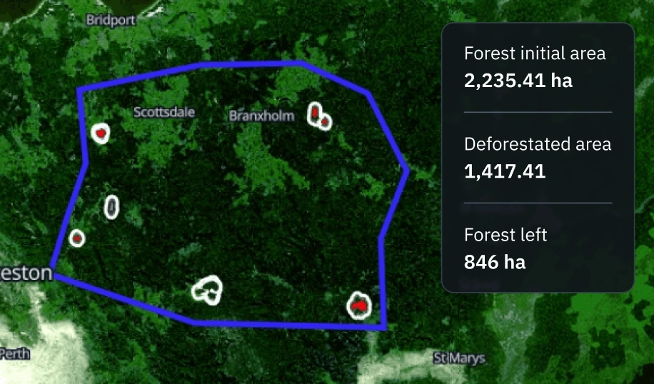 forest loss detection via satellites