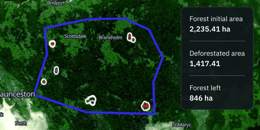 супутниковий моніторинг вирубки та відновлення лісів