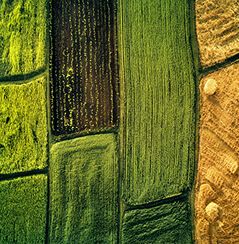 monitor your agricultural fields and land use with the real-time satellite view app