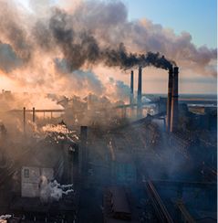 data from space as a visual evidence for carbon accounting and MRV frameworks