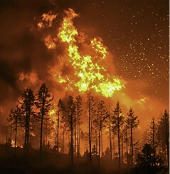 Real-time satellite mapping for flood, fire, and storm response with EOSDA for disaster management.