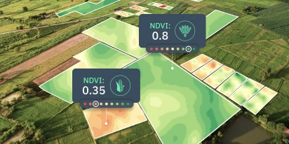 EOSDA Crop Monitoring platform identifying early signs of crop stress, pest infestations, and nutrient deficiencies across agricultural fields.