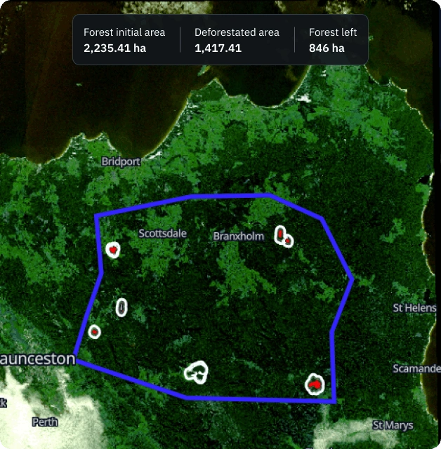 Forestry monitoring map of canopy loss and deforestation alerts in a protected woodland area.
