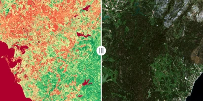 Sharp satellite imagery and advanced analytical features in EOSDA LandViewer offer detailed insights, even in the most remote land plots.