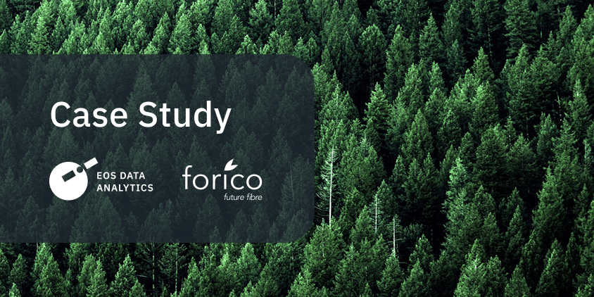 cultivo forestal