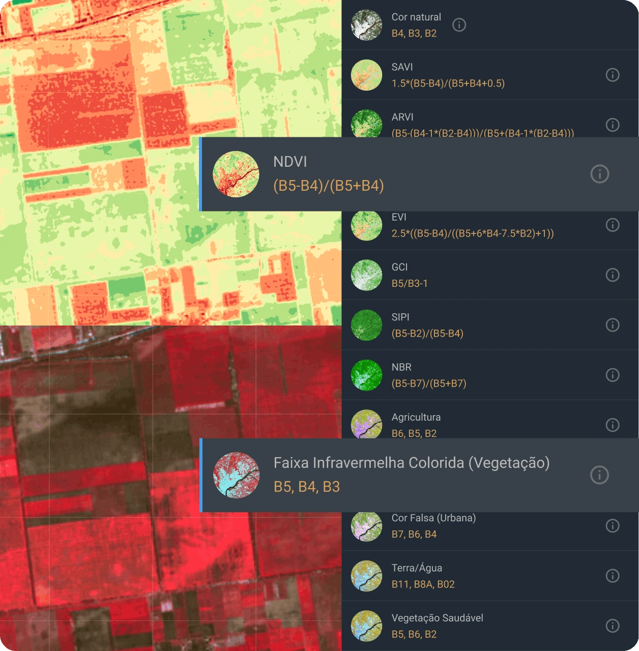 visualização de satélite ao vivo da área de interesse usando diferentes combinações de índices