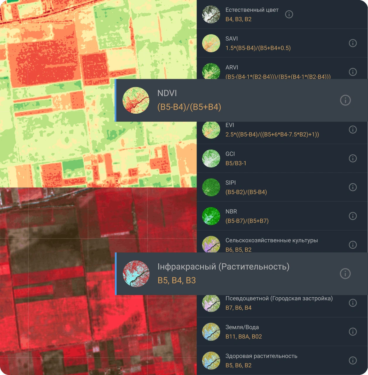 вид AOI со спутника в реальном времени с использованием двух разных комбинаций индексов