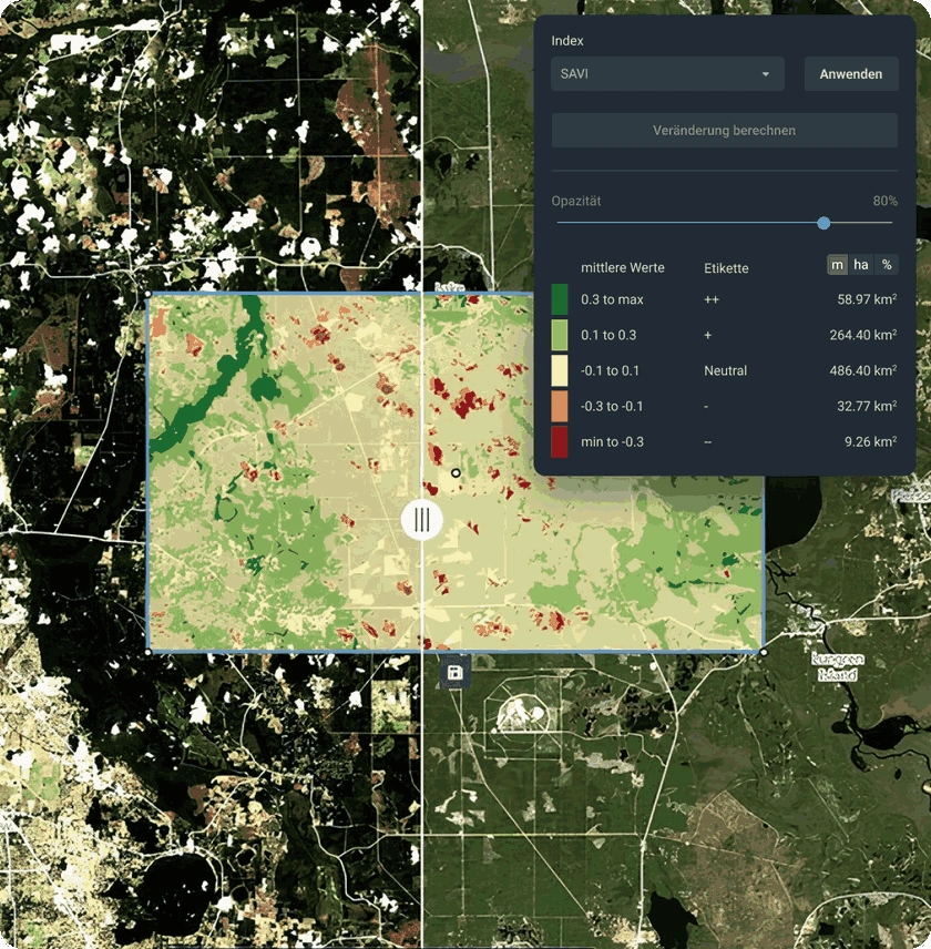 Vergleich von zwei Satellitenbildern in Echtzeit