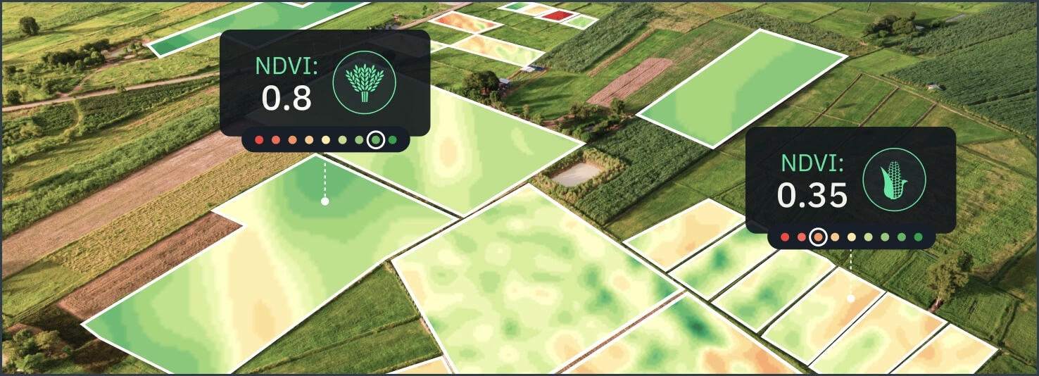 індекс NDVI в EOSDA Crop Monitoring