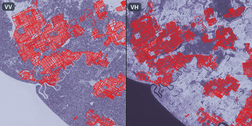 highlighting of rice fields in the visualization