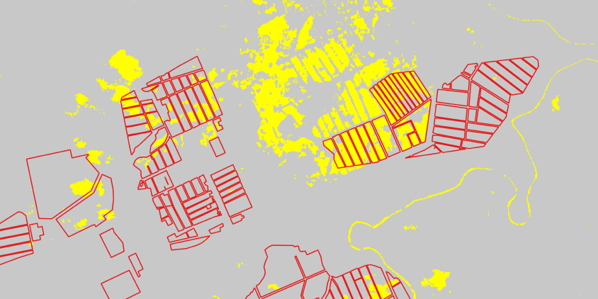 rice masks generated using LSWI and NDVI