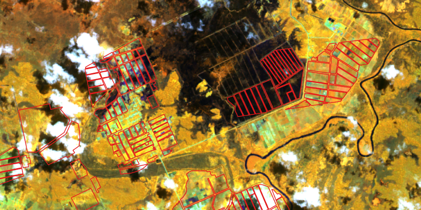 Sentinel-2 imagery composite for paddy detection, April 2024