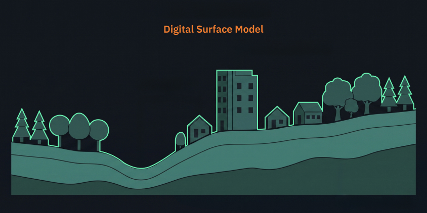 what is represented by a digital surface model (DSM)