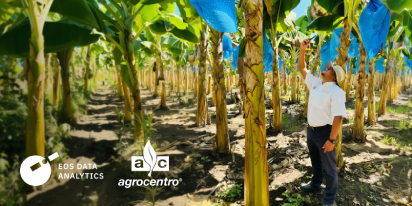 Como o Crop Monitoring e a Agrocentro protegem e digitalizam o agro na Guatemala e em Honduras