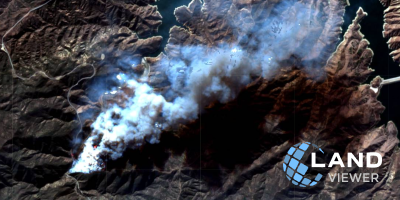 Imagens de satélite para a gestão florestal no LandViewer