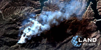 Спутниковые снимки для лесного хозяйства в LandViewer