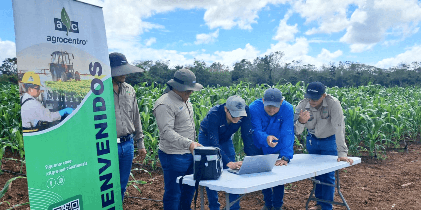 verificação de um talhão com a plataforma Crop Monitoring
